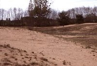 [SITE] Les "charmes" a SERMOYER