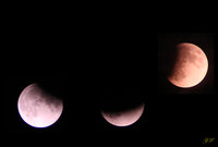 Eclipse partielle de Lune du 16 juillet 2019