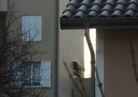 Le soleil dans la gouttière : mieux que la lune dans le caniveau !