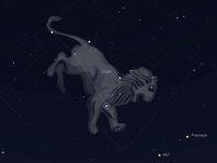 Le Lion, l'errance et l'astérisme