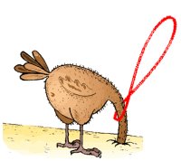 La "courbe en huit" du soleil (I)